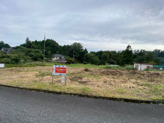 外観：325000117335