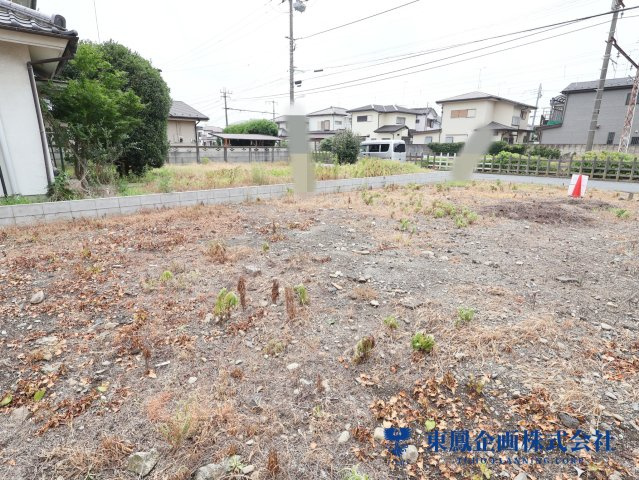 2026年7月　撮影