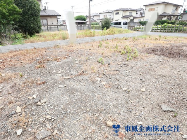 2026年7月　撮影