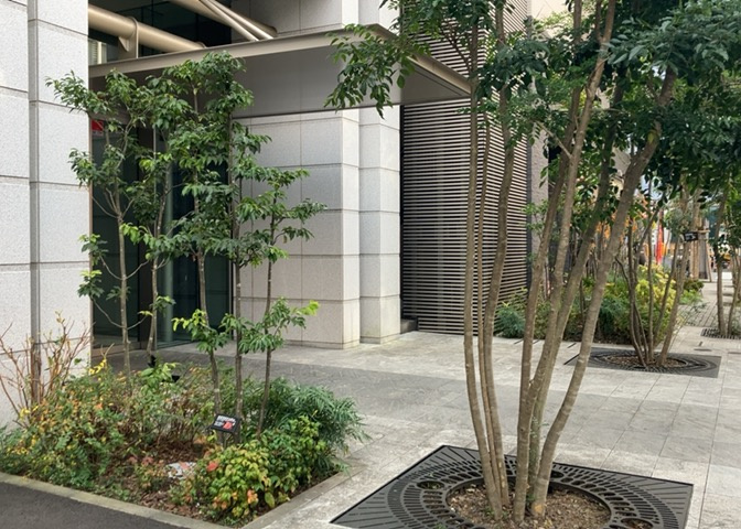 共用部分は、一棟の建物に住む区分所有者全員が共同で所有するとし、共用部分の管理、補修などは、区分所有者で形成される管理組合が行います。個人の判断で勝手に変更することはできませんので覚えておきましょう。