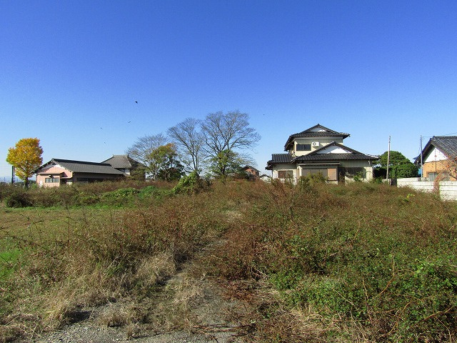 外観：311002320296