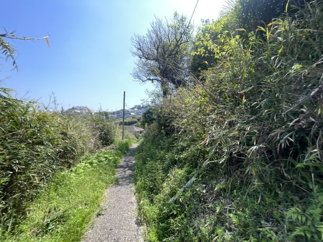 緑豊かな地域になります。