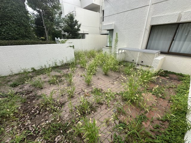 広い太陽が燦燦と入るお庭付きです。野菜やお花育てたり、ブランコなど置いてお子様やペットとの遊び場に◎