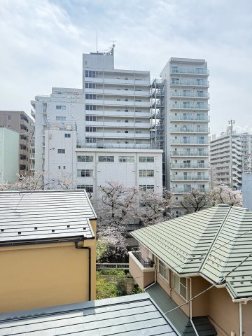 展望