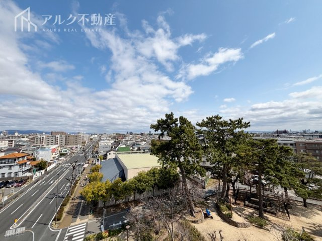 2026年3月撮影