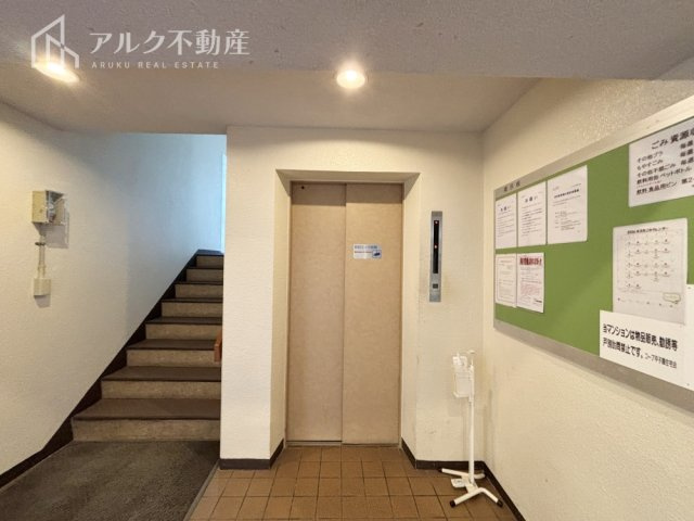 2026年3月撮影