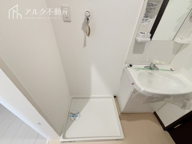 2026年3月撮影