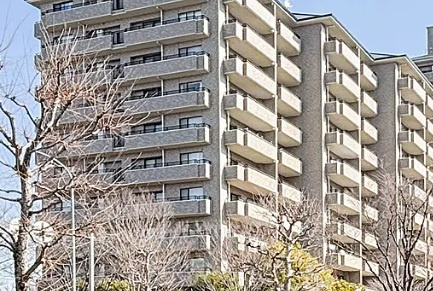 外観：314002698796