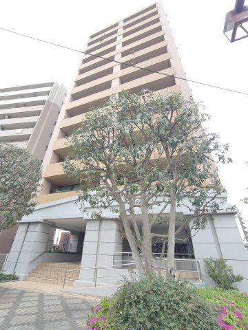 外観：313004583332