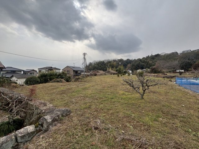 外観：334000235314