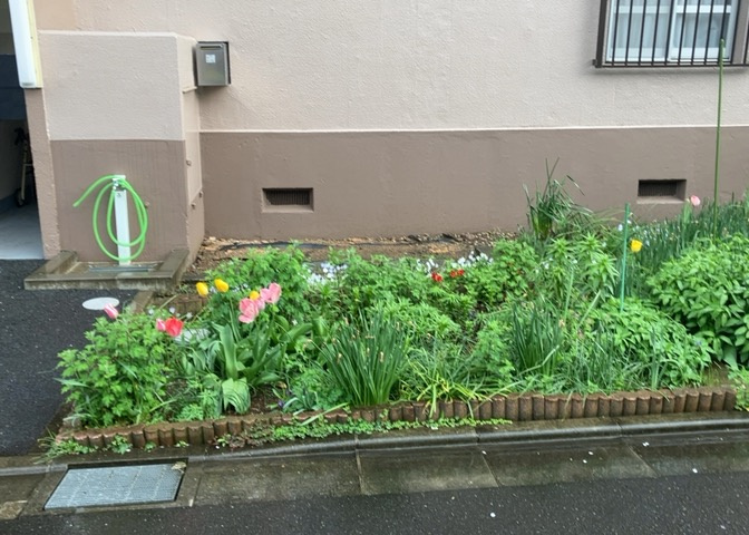 庭があることでガーデニングや家庭菜園はもちろん、こどもの遊び場やペットを放して遊ぶことができます。また、家の周囲に余裕があるということです。隣地との間があれば、十分な日当たりと、風通しが確保できます。