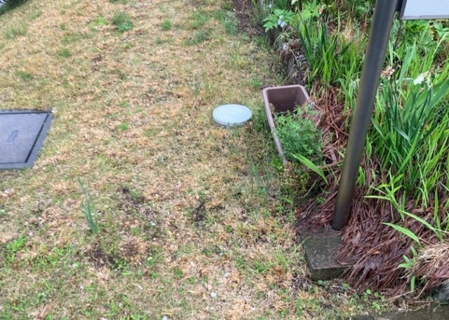 敷地内に散水栓や立水栓があると便利です。水道水を直接利用できるため、水を運ぶ手間を省くことが出来ます。大量の水を必要とする洗車作業や清掃などに役立ちます。その他設備とあわせて、現地でご確認ください。