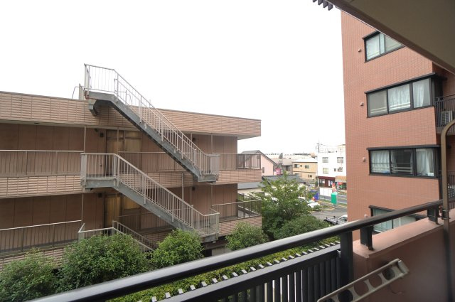 展望