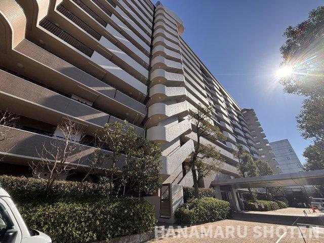 外観：313004674277