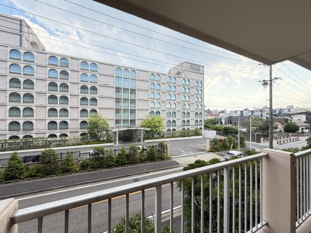 展望