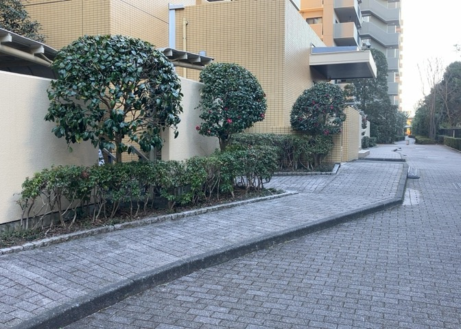物件によっては、入居者が個人的に使用できる専用庭がついているものもあります。また、住宅の中にある土間の部分を庭と呼ぶこともあります。庭の用途は住む人によって変わり、それによってデザインもさまざまです。