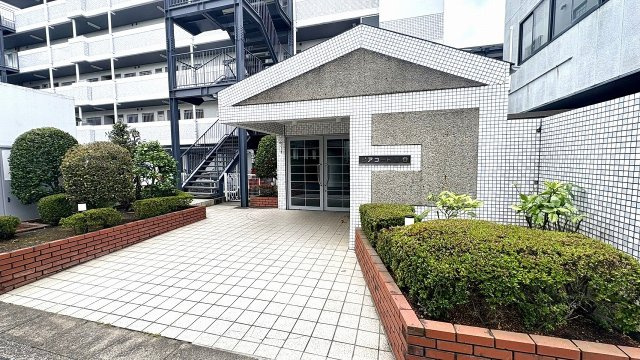 令和8年6月撮影