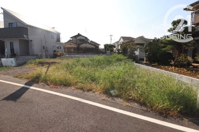 外観：313004519271