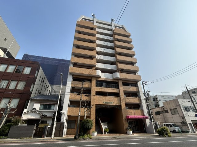 外観：334000238574