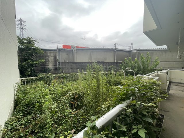 庭