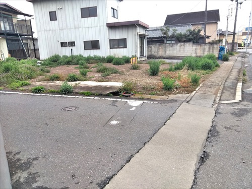 外観：309000065461