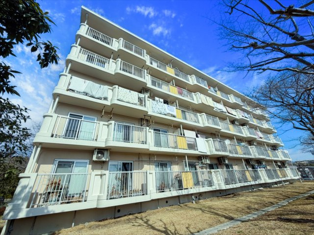 外観：314002644326