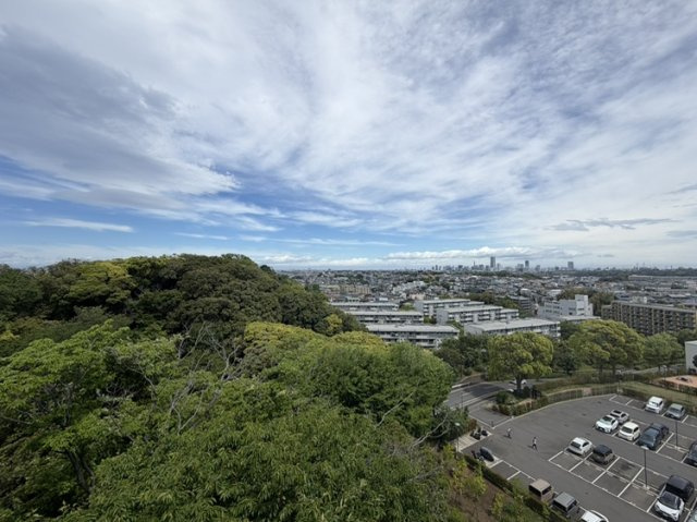 【北側の眺望】　公園の豊かな緑とスカイラインを一望。リビング、ダイニング、キッチン、北側の2部屋すべてからこの景色を楽しめます。