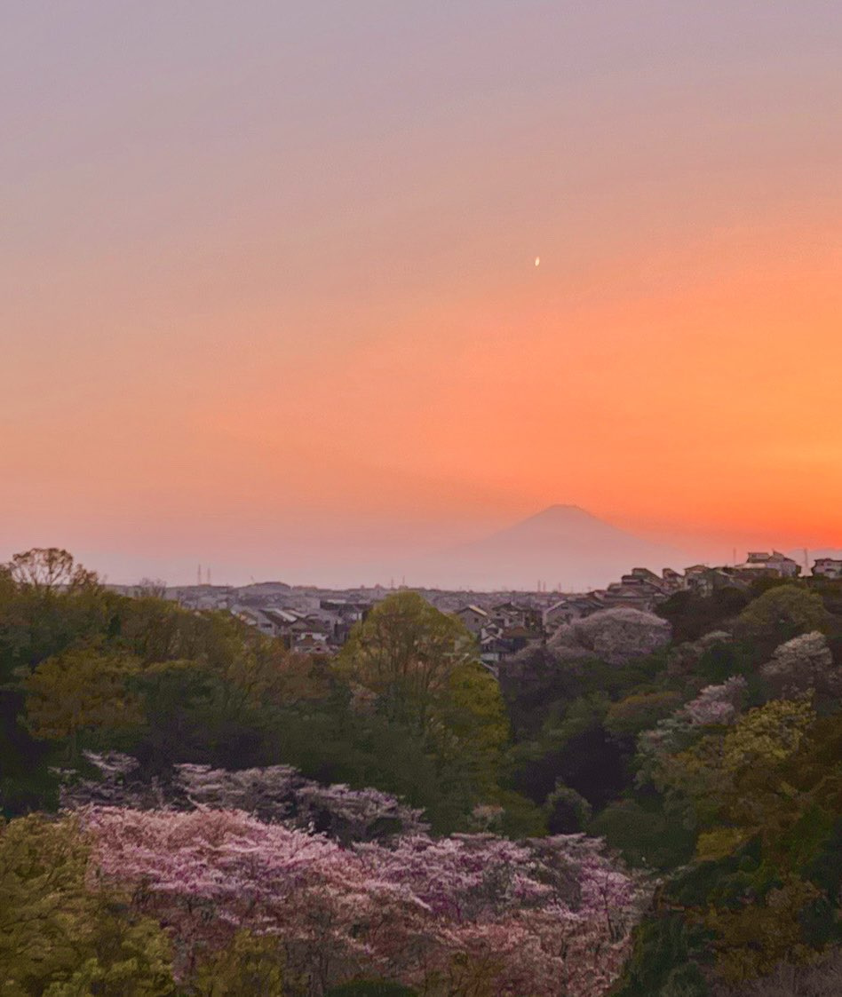 　【四季を纏う借景】　眼下の公園はまるで自宅の広大な庭。春には満開の桜と富士山を同時に望むことができ、室内にいながら美しい四季を堪能できます。