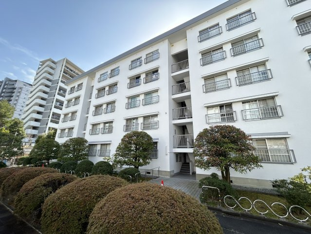 外観：327002225419