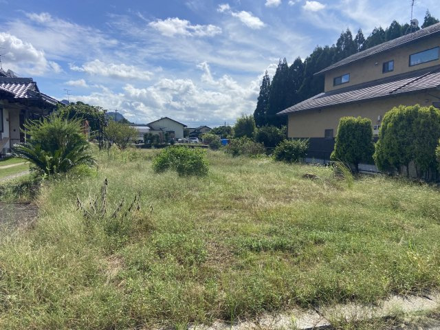 外観：343000087336