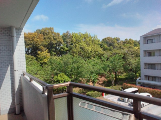 展望