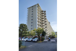 市川パークハイツB棟の外観