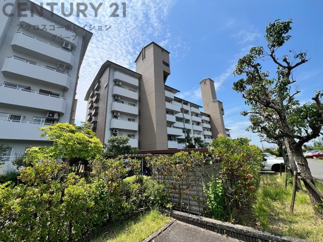 RC造6階建て