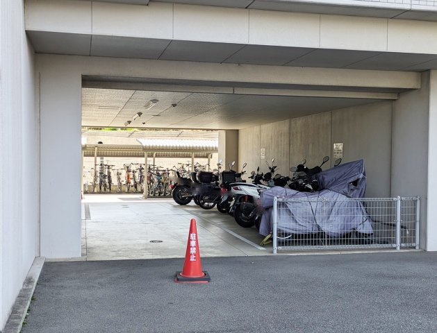 【現地写真】　2026年5月に撮影しました