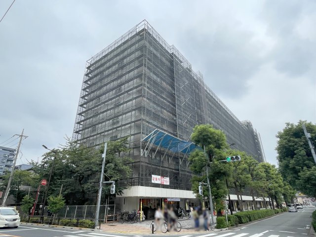 外観：313004917578