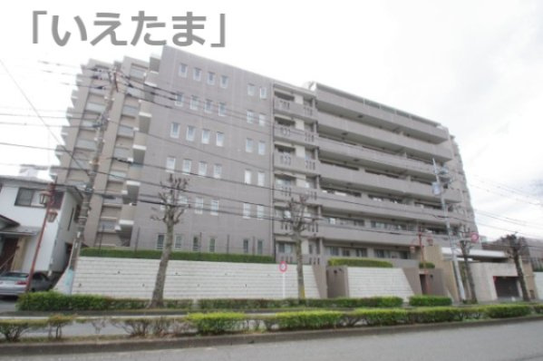 外観：313004671867