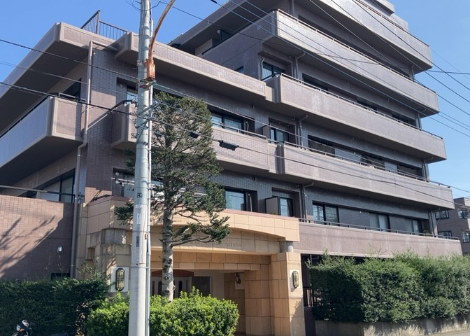 外観：313004466617