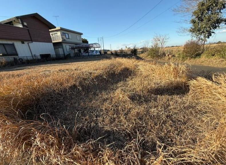 外観：308000173879