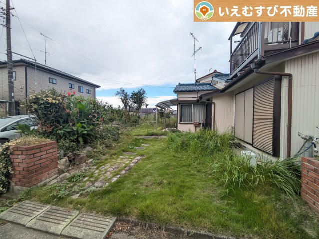庭