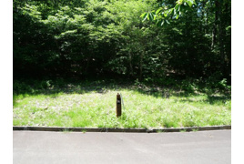 荘川ビレッジ⑧の外観