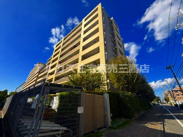 外観：313004495669