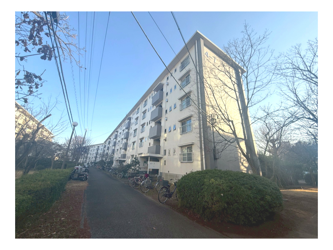 外観：311002282415