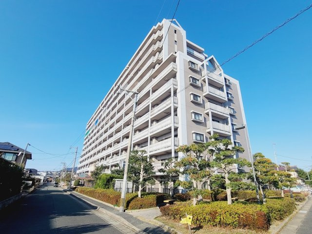 外観：340000272296