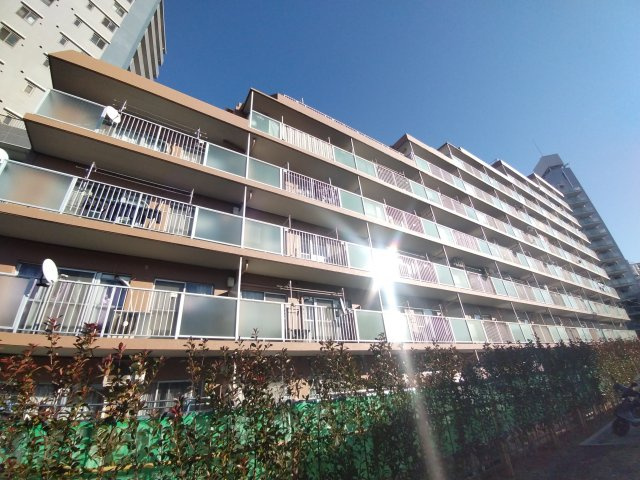 外観：313004726184
