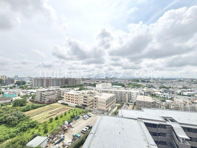 開放感があり、遮るものもなく気持ちのいい景色が広がります。