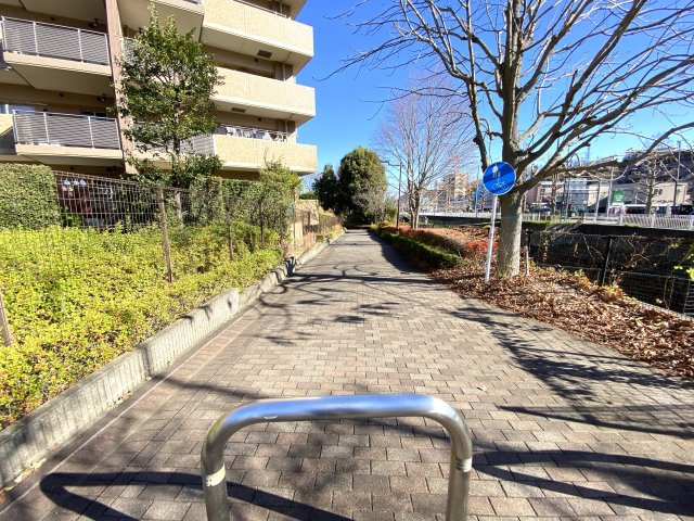 大田川　周辺に水辺があると落ち着きます。　