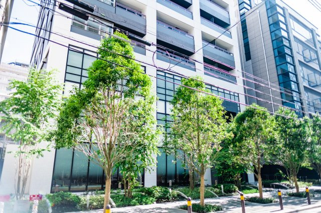 【周辺】マンションの周りは、木々に囲まれています！思わず散歩したくなるような、気持ちの良い環境！