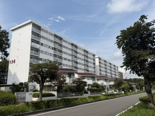 外観：312001306784