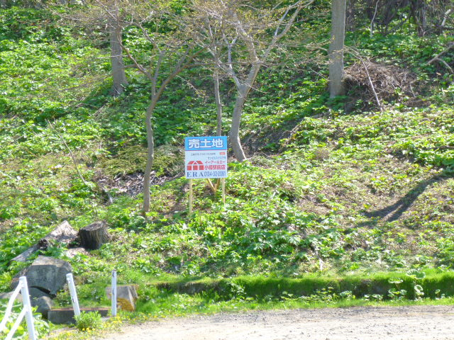 外観：301000102747