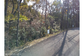 加東市上三草土地の外観